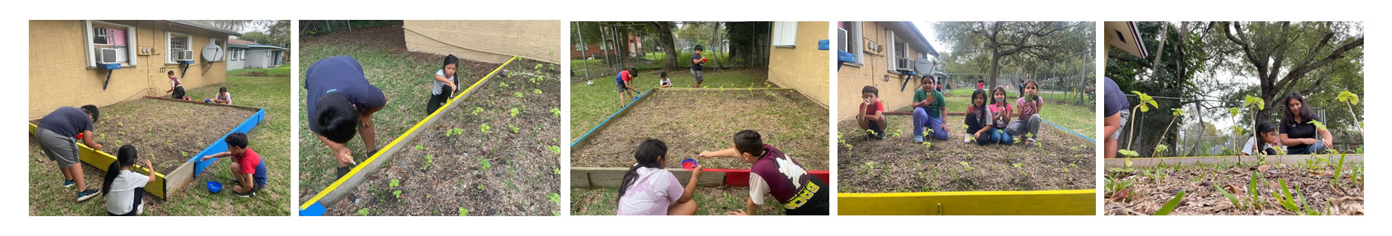 EVERGLADES CAMP